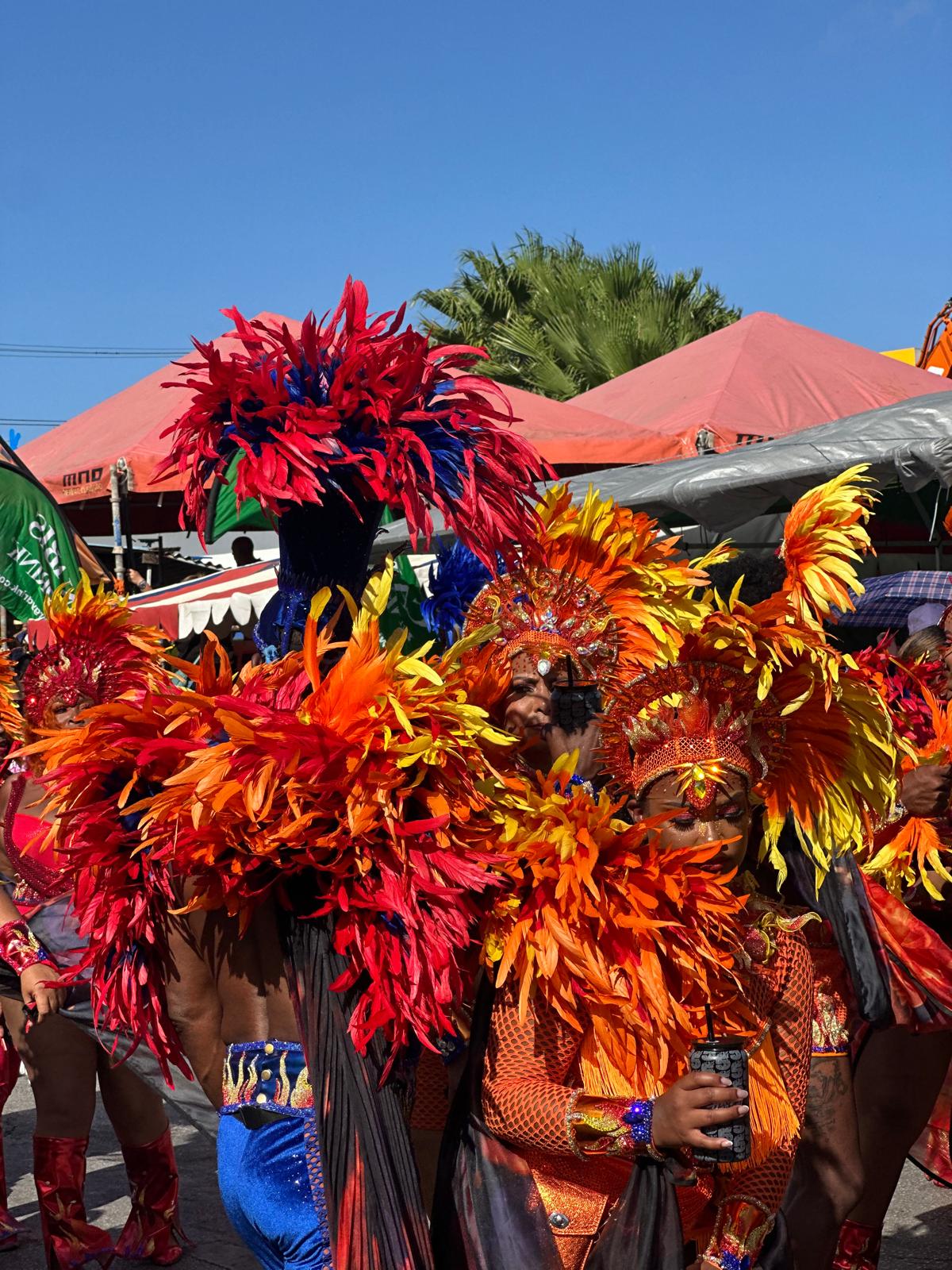 carnaval-rood