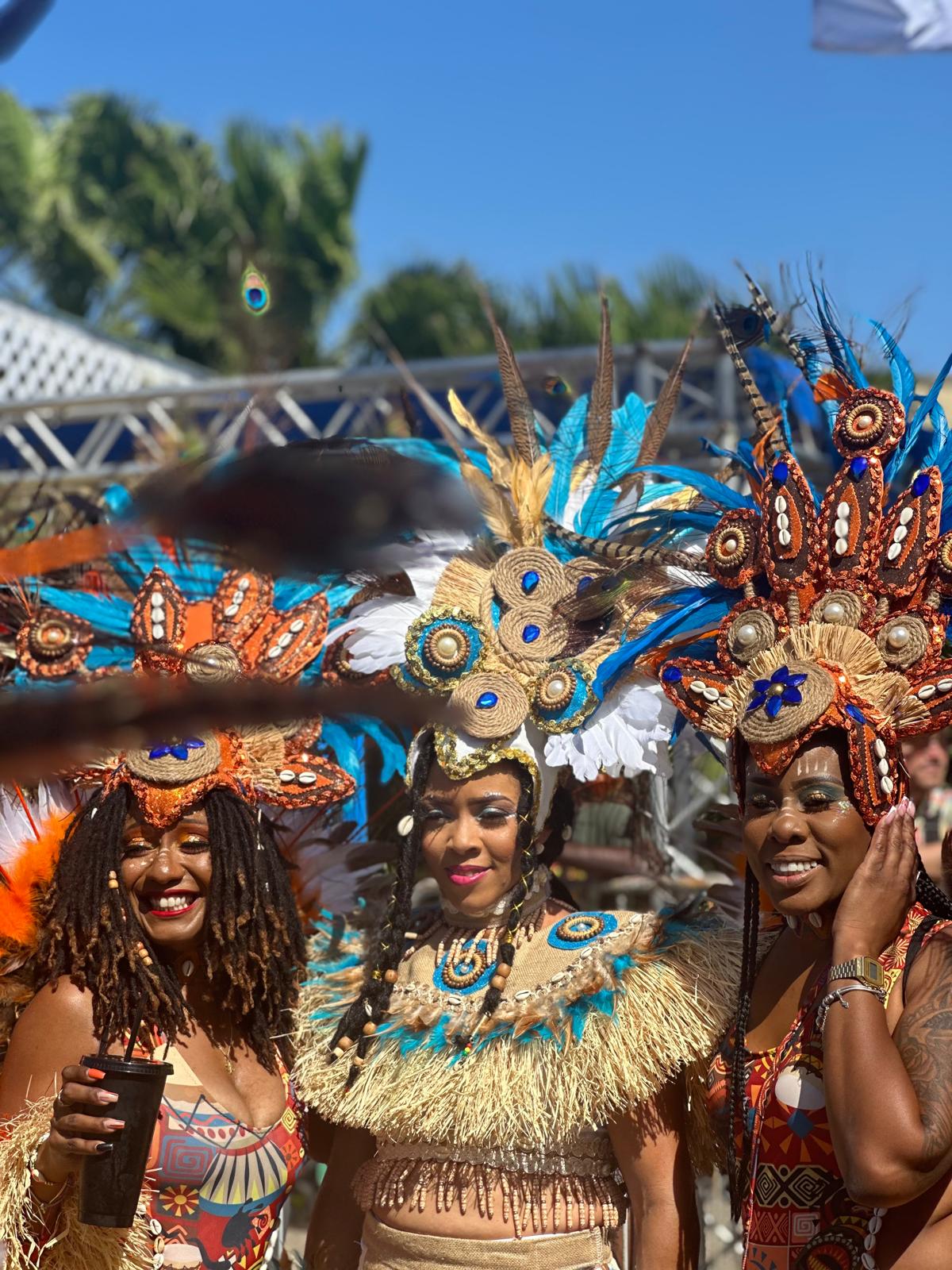 carnaval-bruin