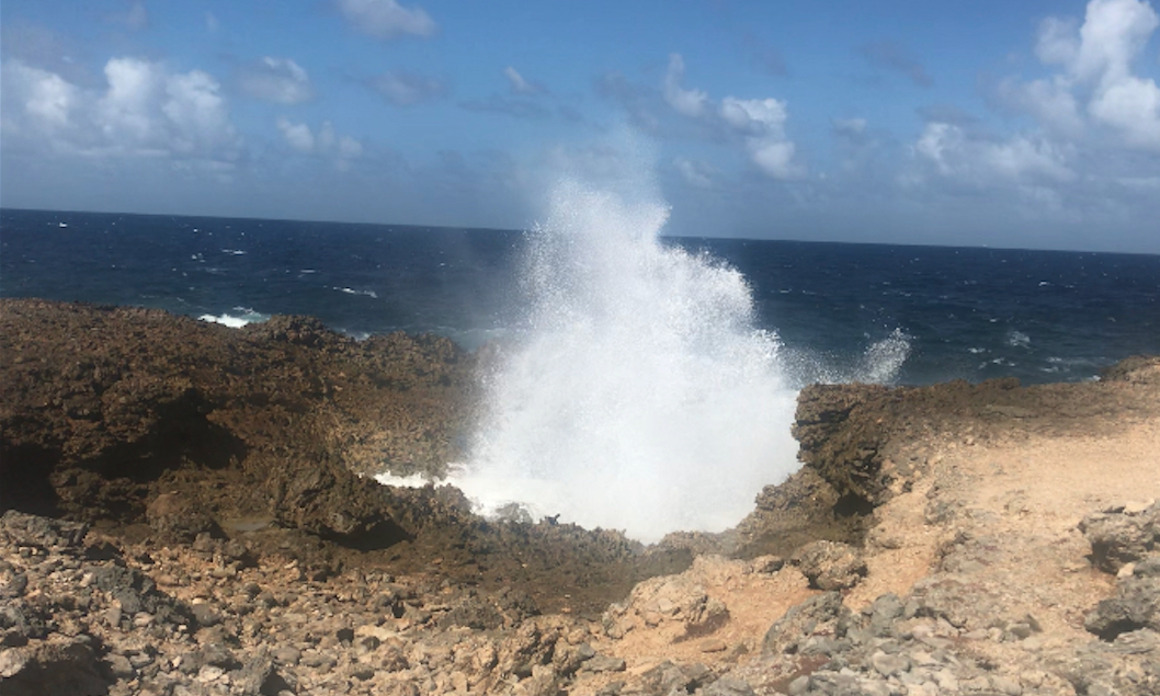 bo-curacao-elle-2 bo-curacao-elle-2